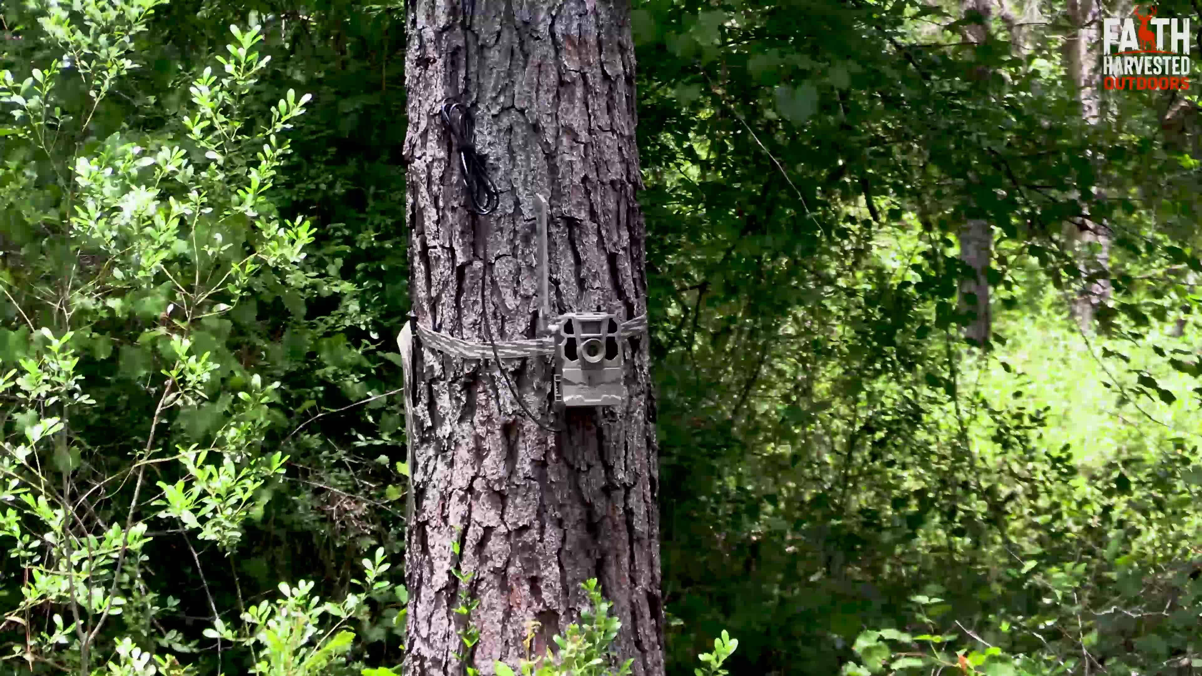 Environmental B-roll still