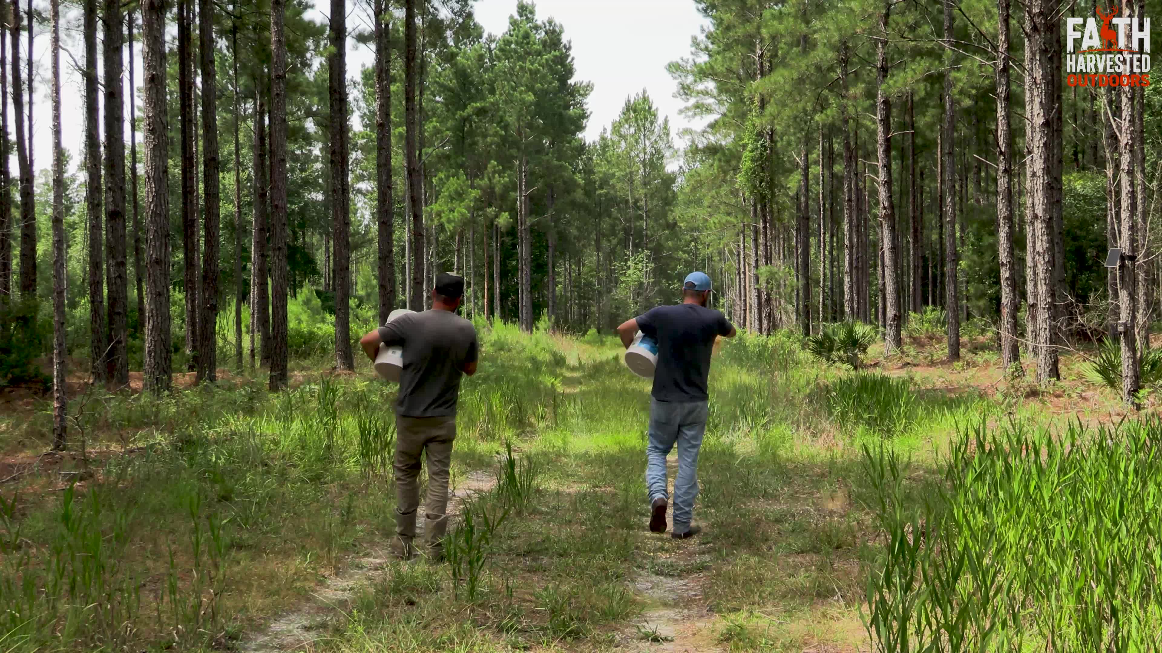 Establishing wilderness shot from the trailer