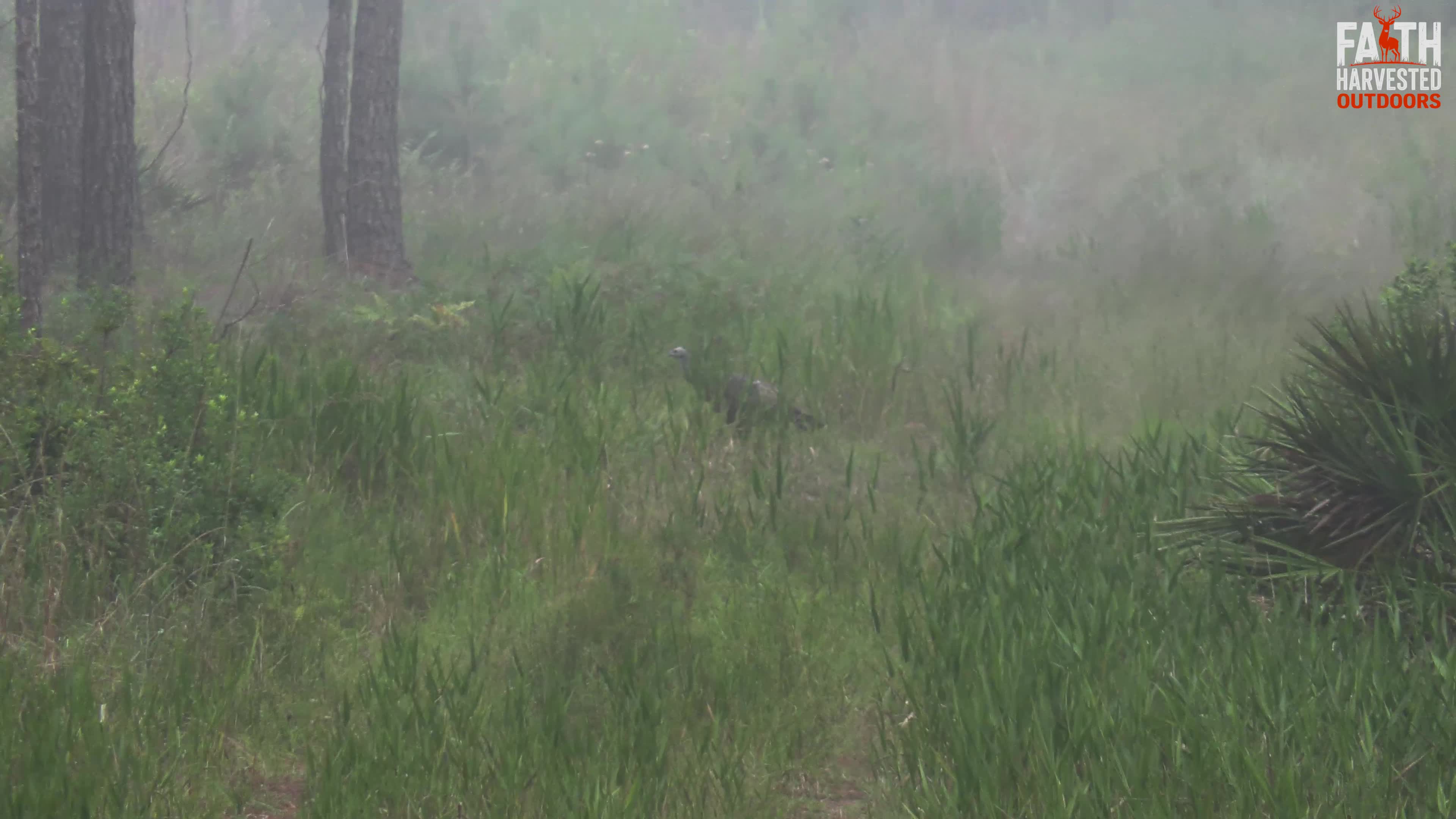 Atmospheric still underscoring the sound design