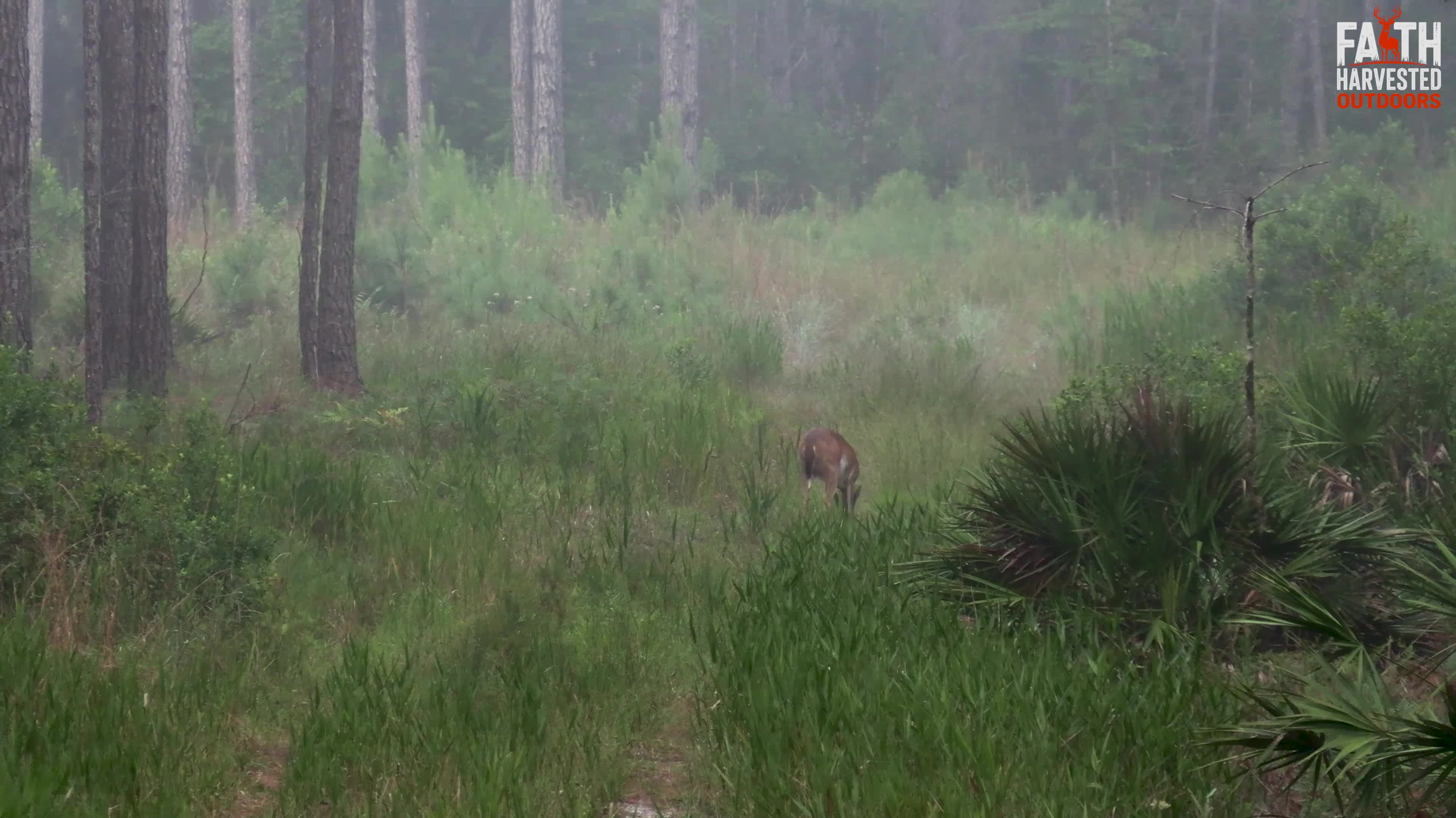 Tension-building stalking frame